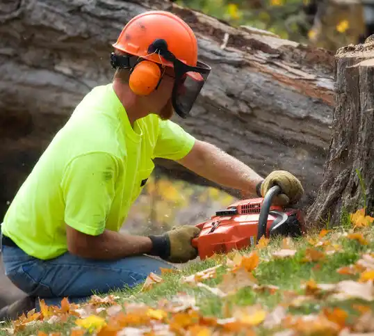 tree services Louisiana